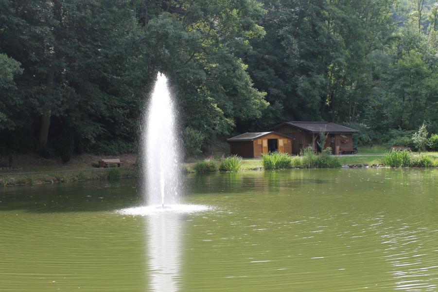 Die Fontäne am Hammerweiher